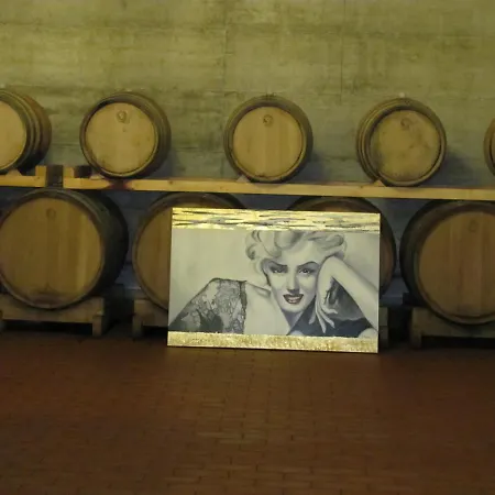 圣贾科莫别墅酒店 谢尔尼