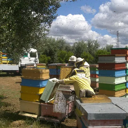 圣贾科莫别墅酒店 乡村民宿