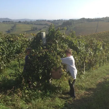 乡村民宿 圣贾科莫别墅酒店