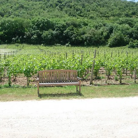 圣贾科莫别墅酒店 乡村民宿 *