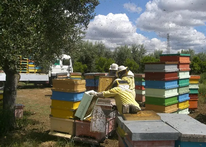 San Giacomo Летний дом