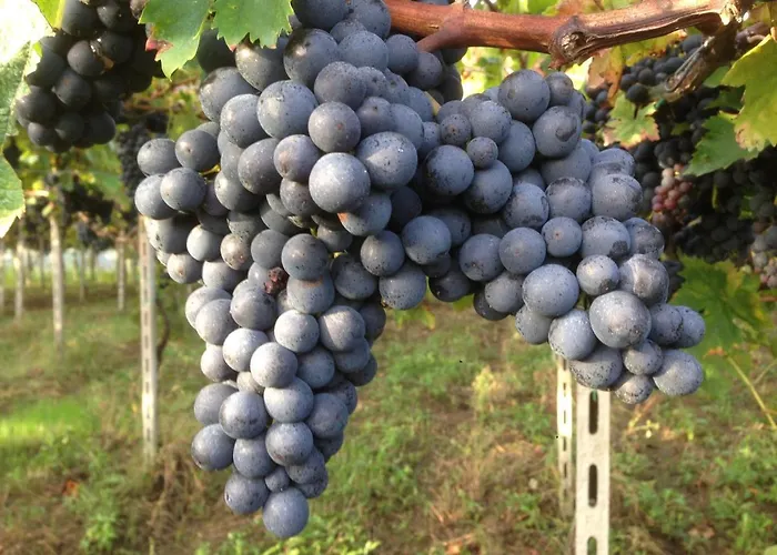 San Giacomo Летний дом *