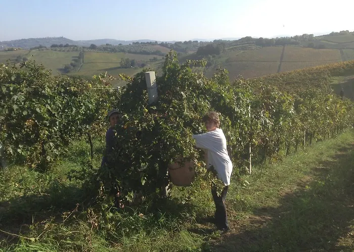 Летний дом San Giacomo